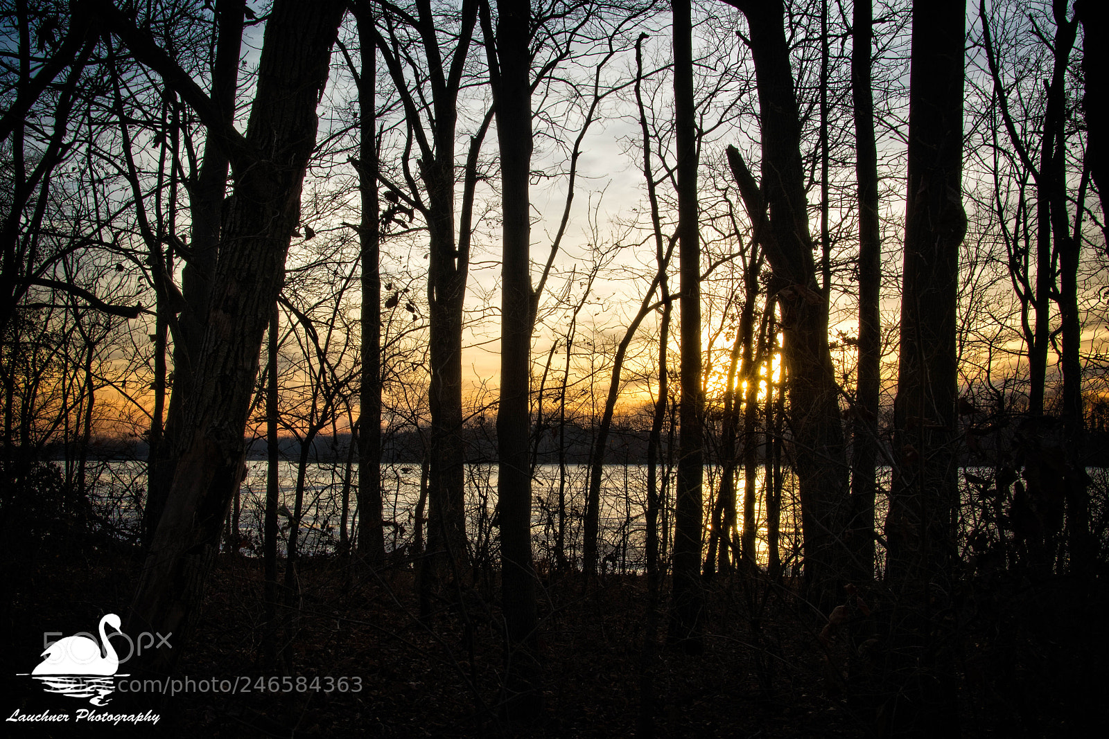 Nikon D5200 sample photo. Sunset, silver lake park photography
