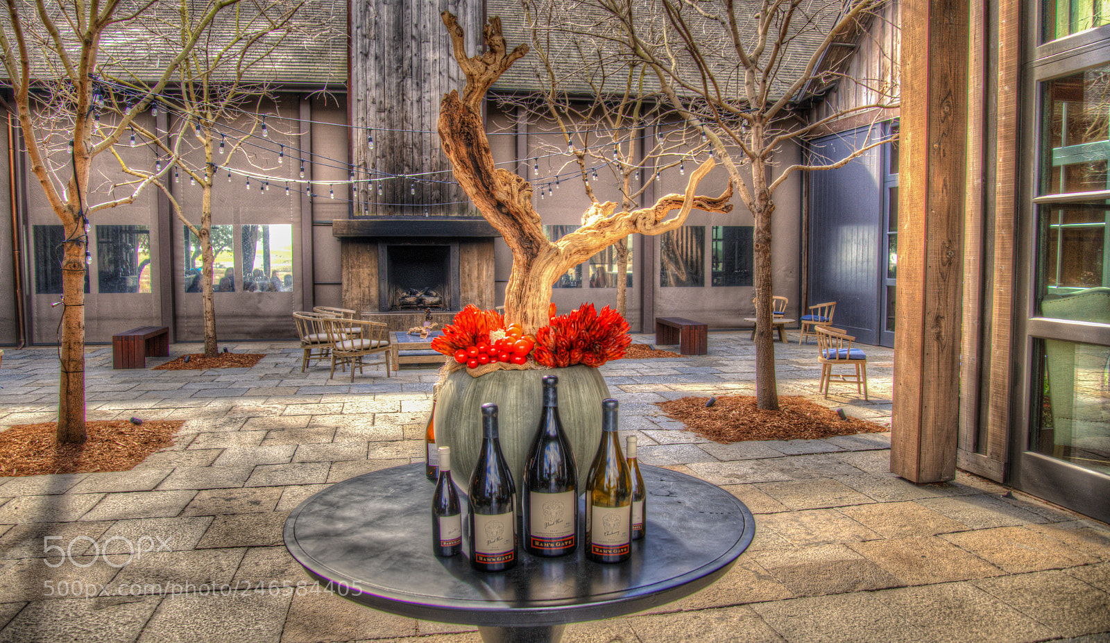 Nikon D850 sample photo. Rams gate winery photography