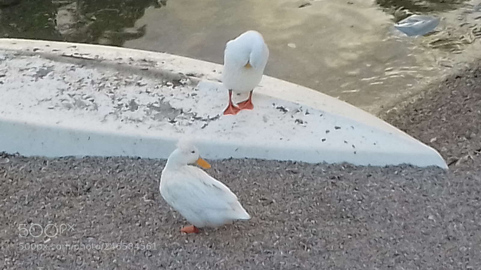 Samsung Galaxy J3(2016) sample photo. Πάχη Μέγαρα - pachi megara photography