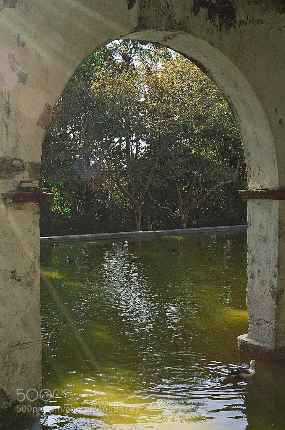 Nikon D3200 sample photo. Untitled photography