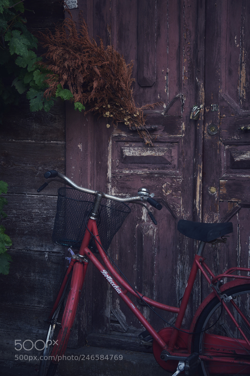 Nikon D810 sample photo. Untitled photography