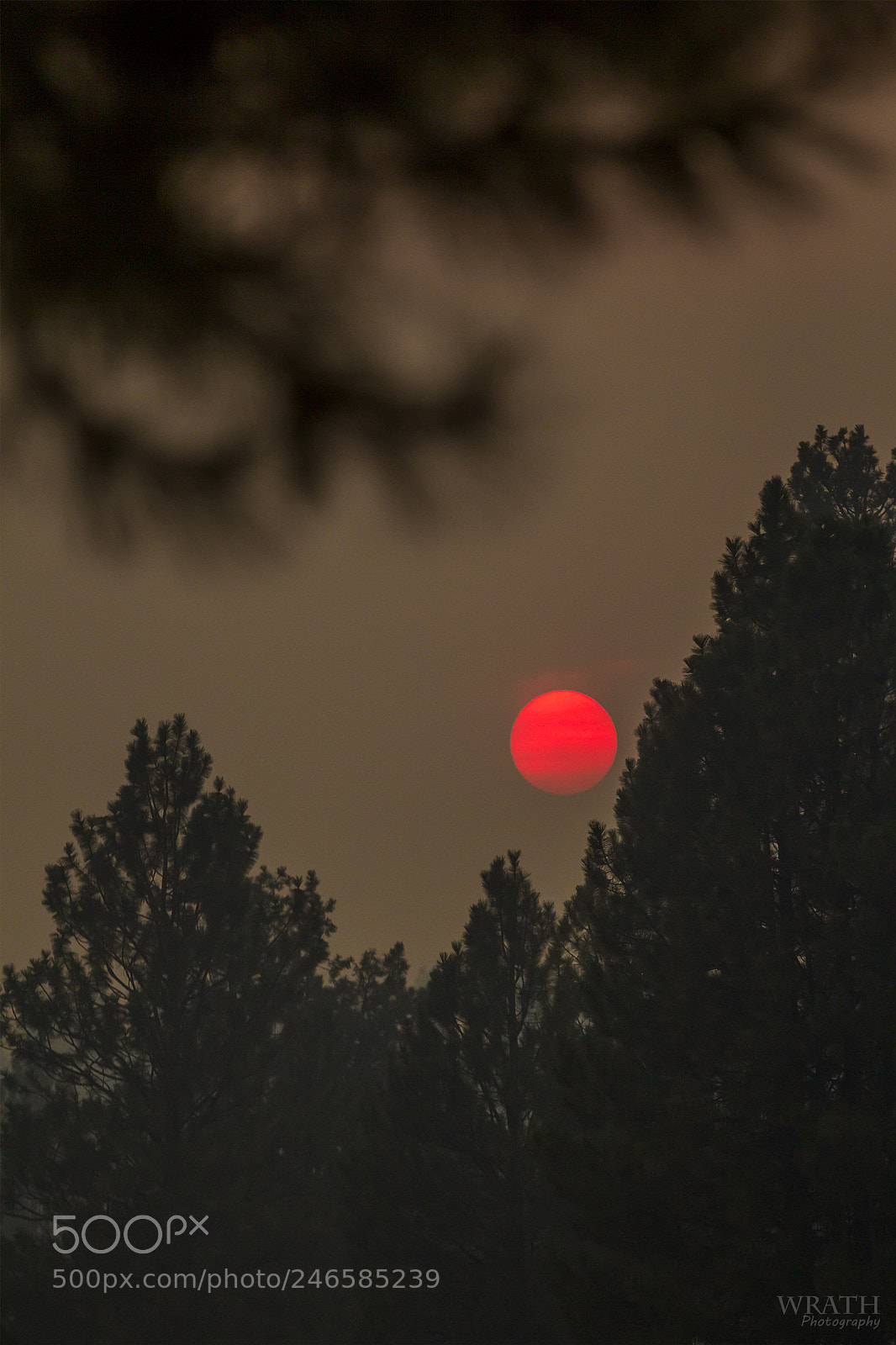 Canon EOS 60D sample photo. Fiery sunset photography