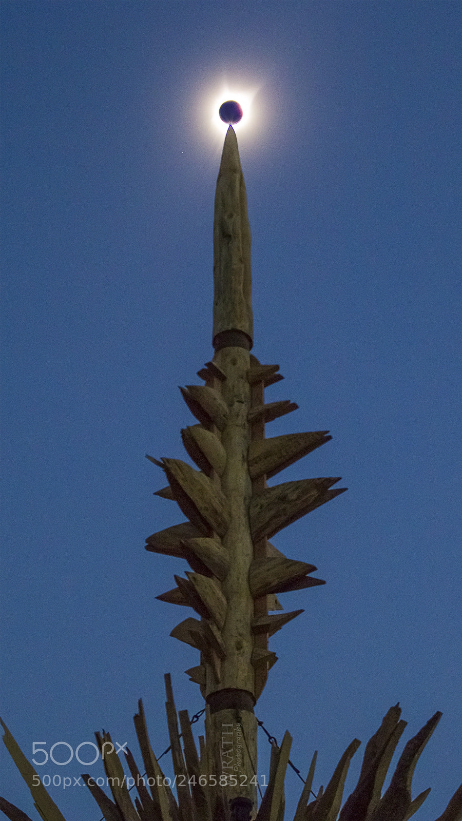 Canon EOS 60D sample photo. Eclipse on point photography