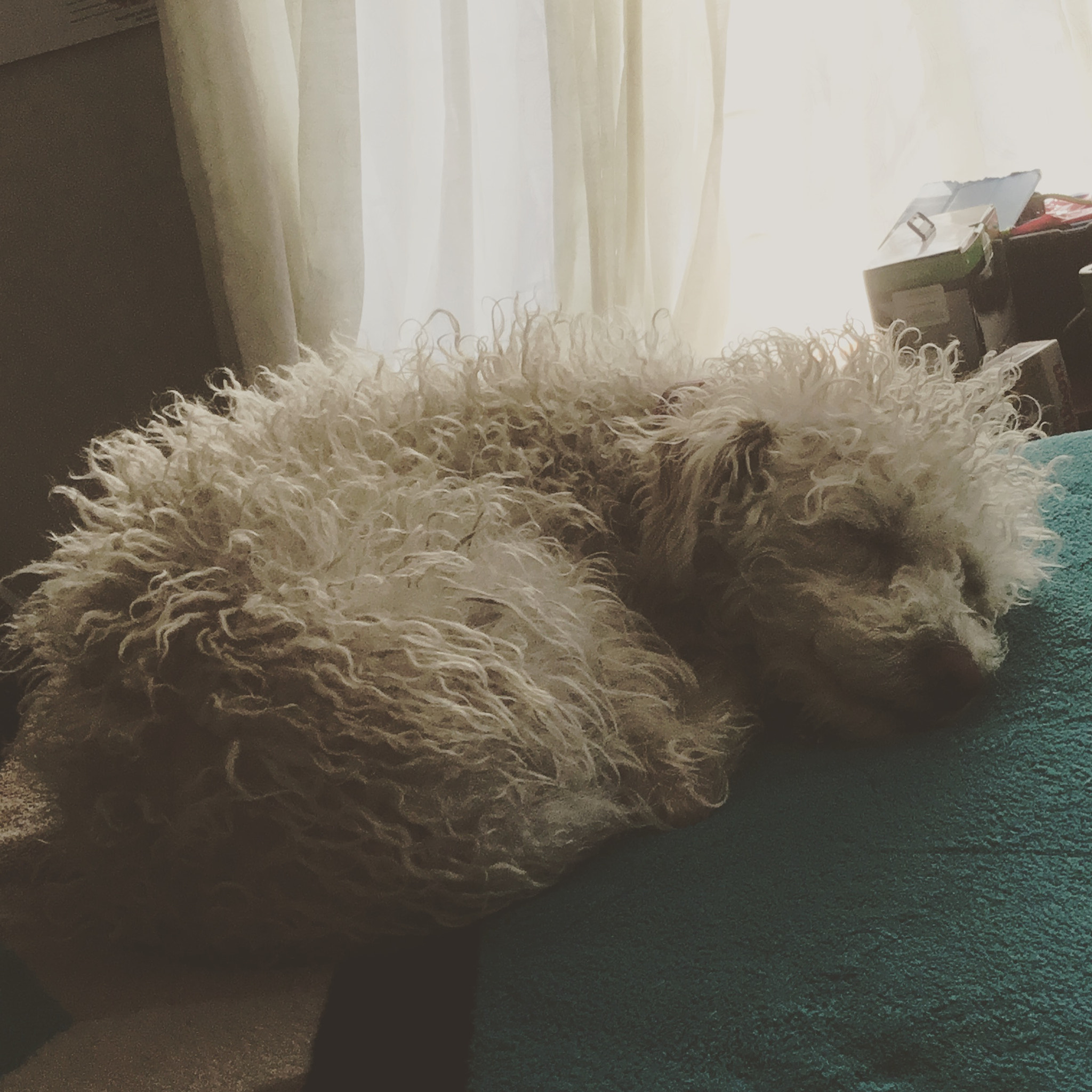 Apple iPad (5th generation) sample photo