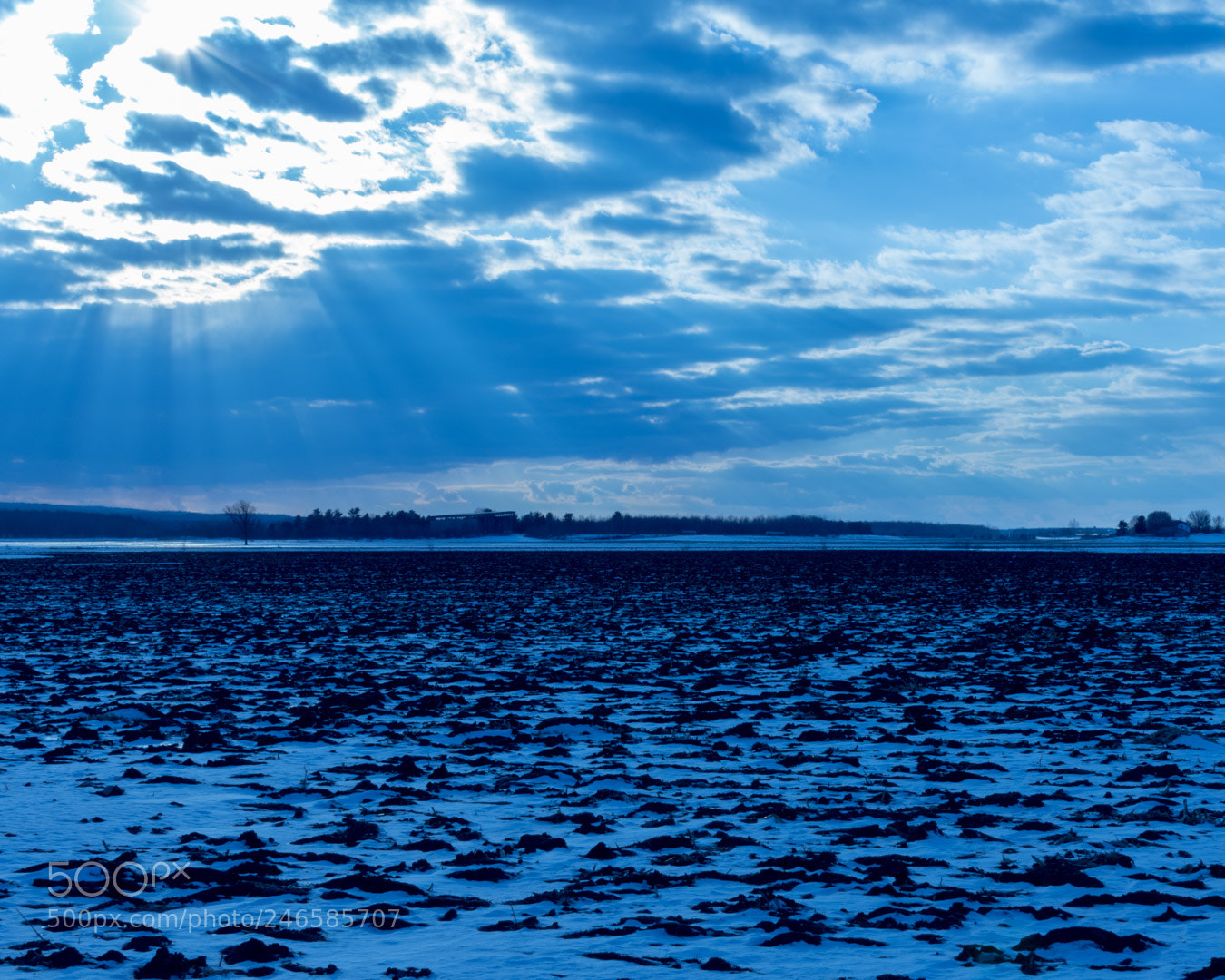 Nikon D7200 sample photo. Cold and hot photography