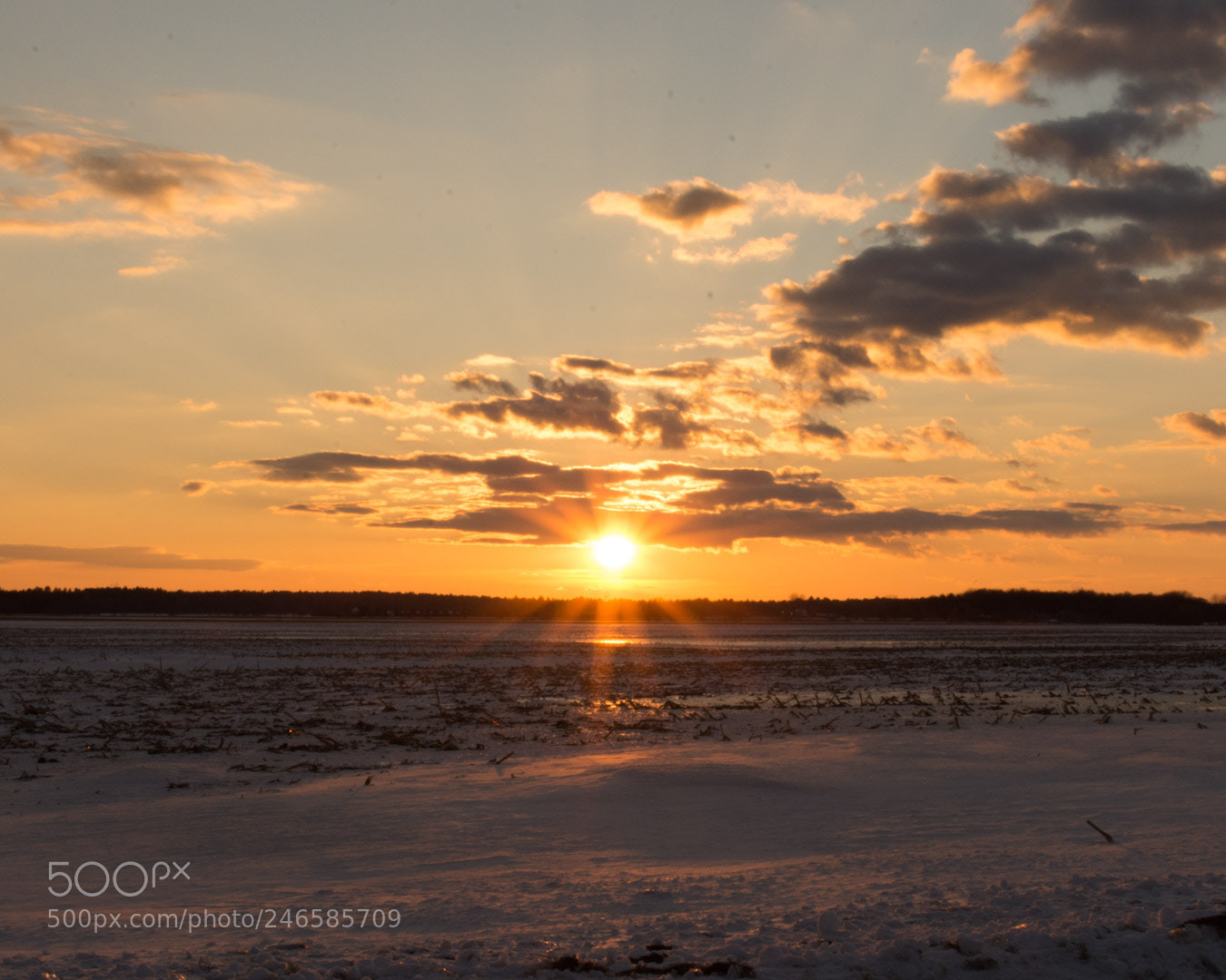 Nikon D7200 sample photo. Cold and hot photography