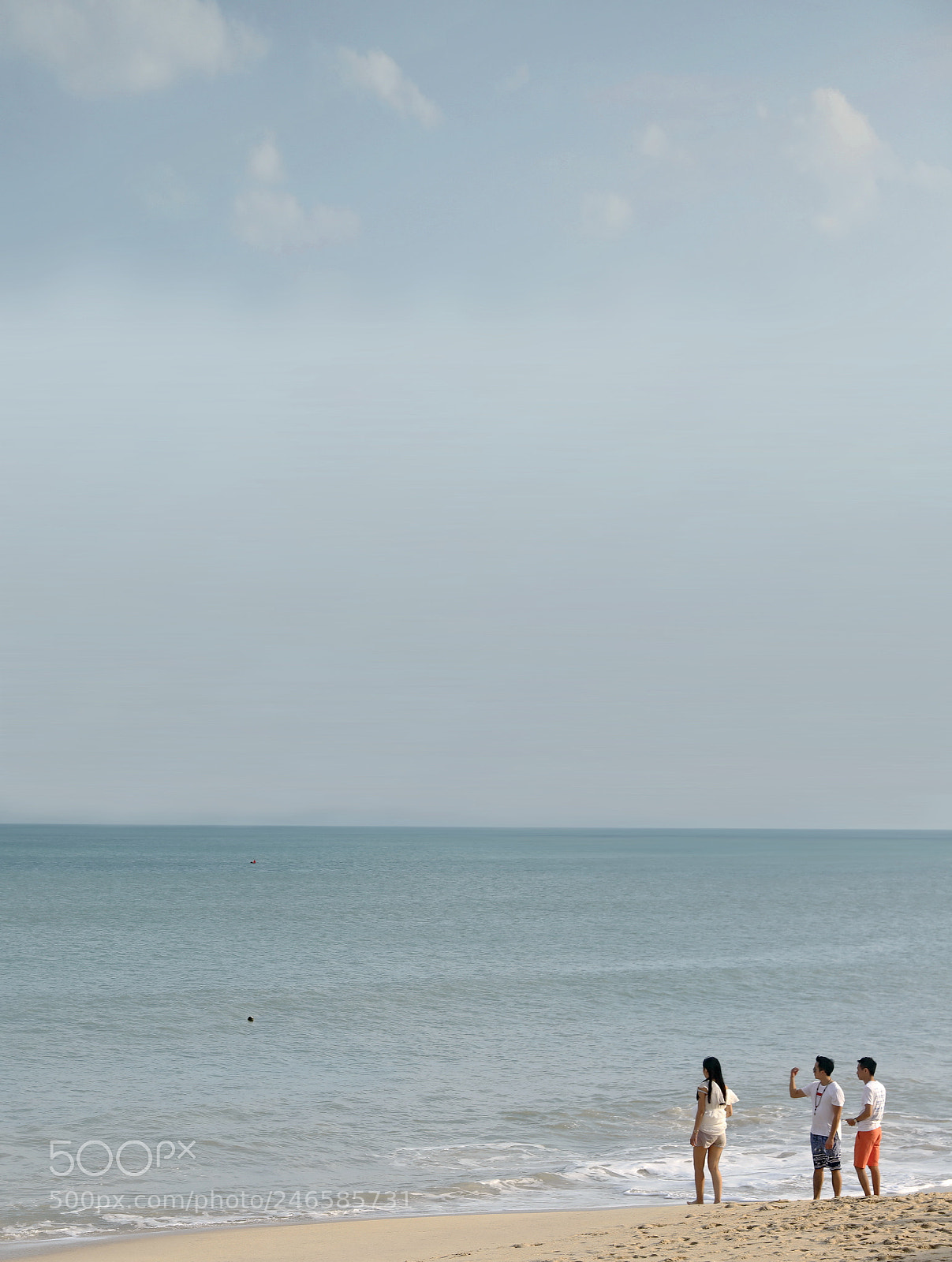 Canon EOS 5DS R sample photo. The visitor in seaside 7# photography