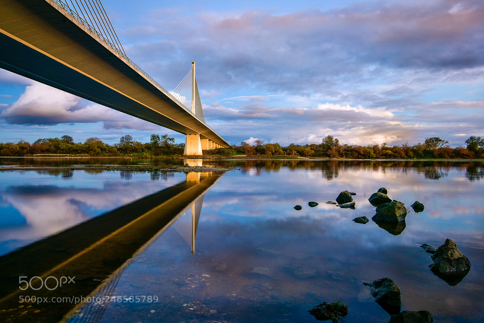 Nikon D810 sample photo. Salgueiro maia bridge photography