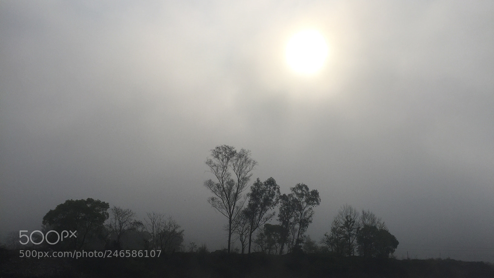 Apple iPhone 6 sample photo. 逝者如斯夫 photography
