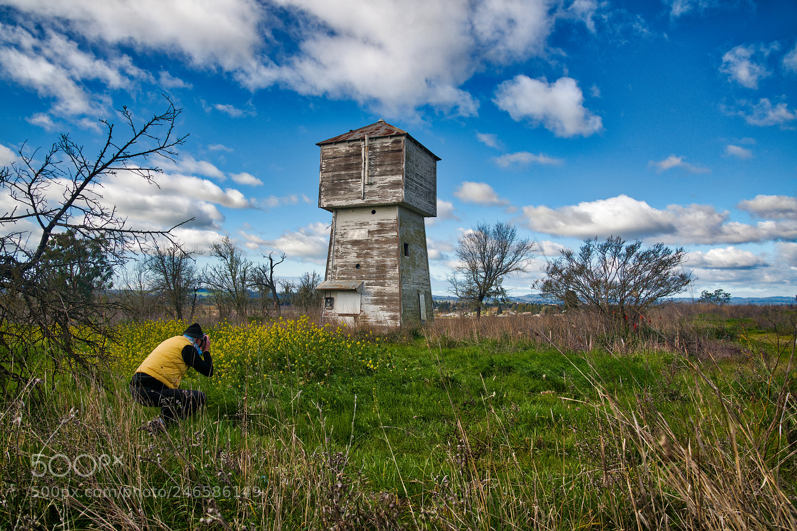 Nikon D850 sample photo. Shooting a photographer shooting photography