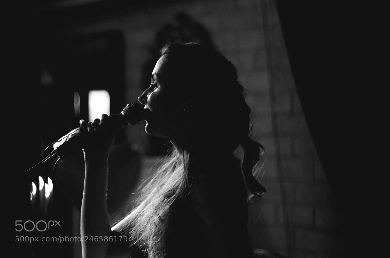 Nikon D5100 sample photo. Singer photography