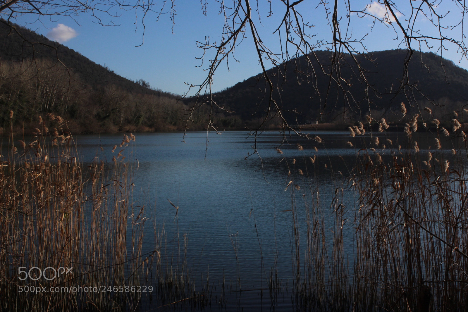 Canon EF-S 18-55mm F3.5-5.6 III sample photo. Untitled photography
