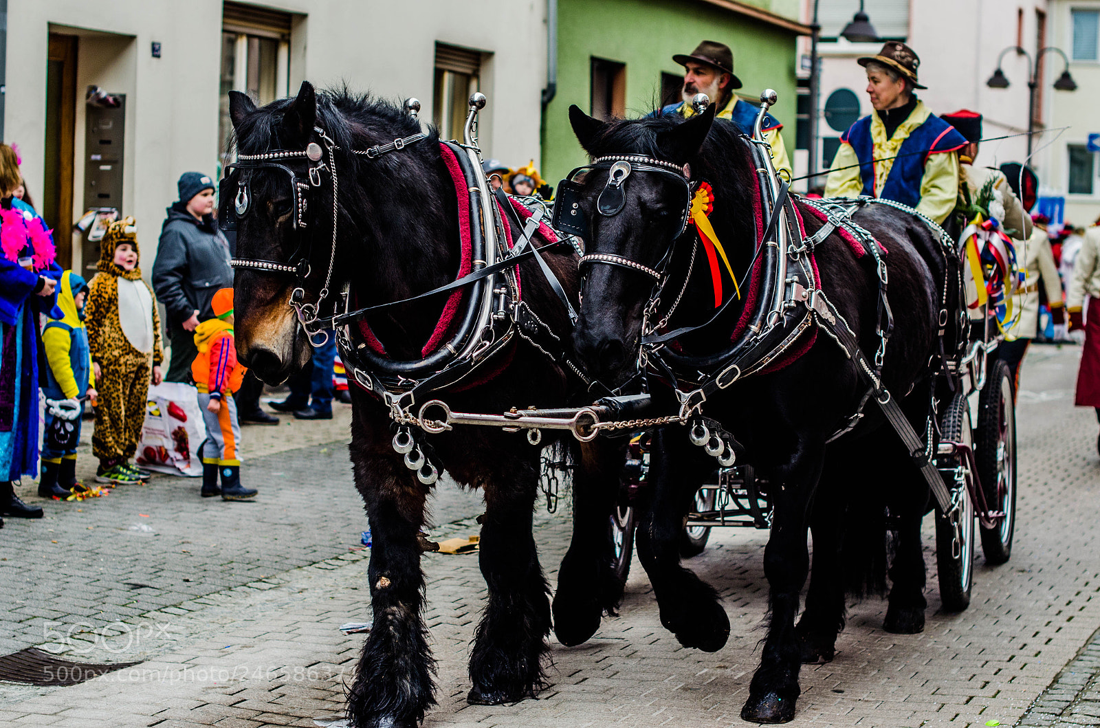 Nikon D5100 sample photo. Horses photography