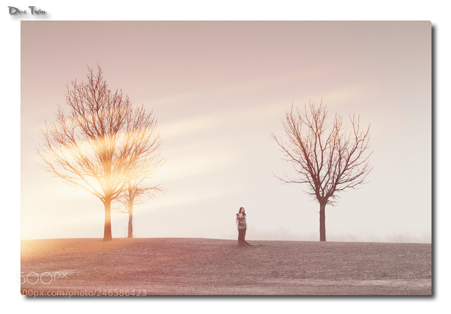 Canon EOS-1D Mark IV sample photo. Through the morning fog photography