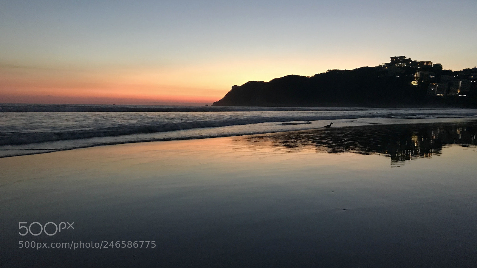 Apple iPhone 7 sample photo. Summer evening at the photography
