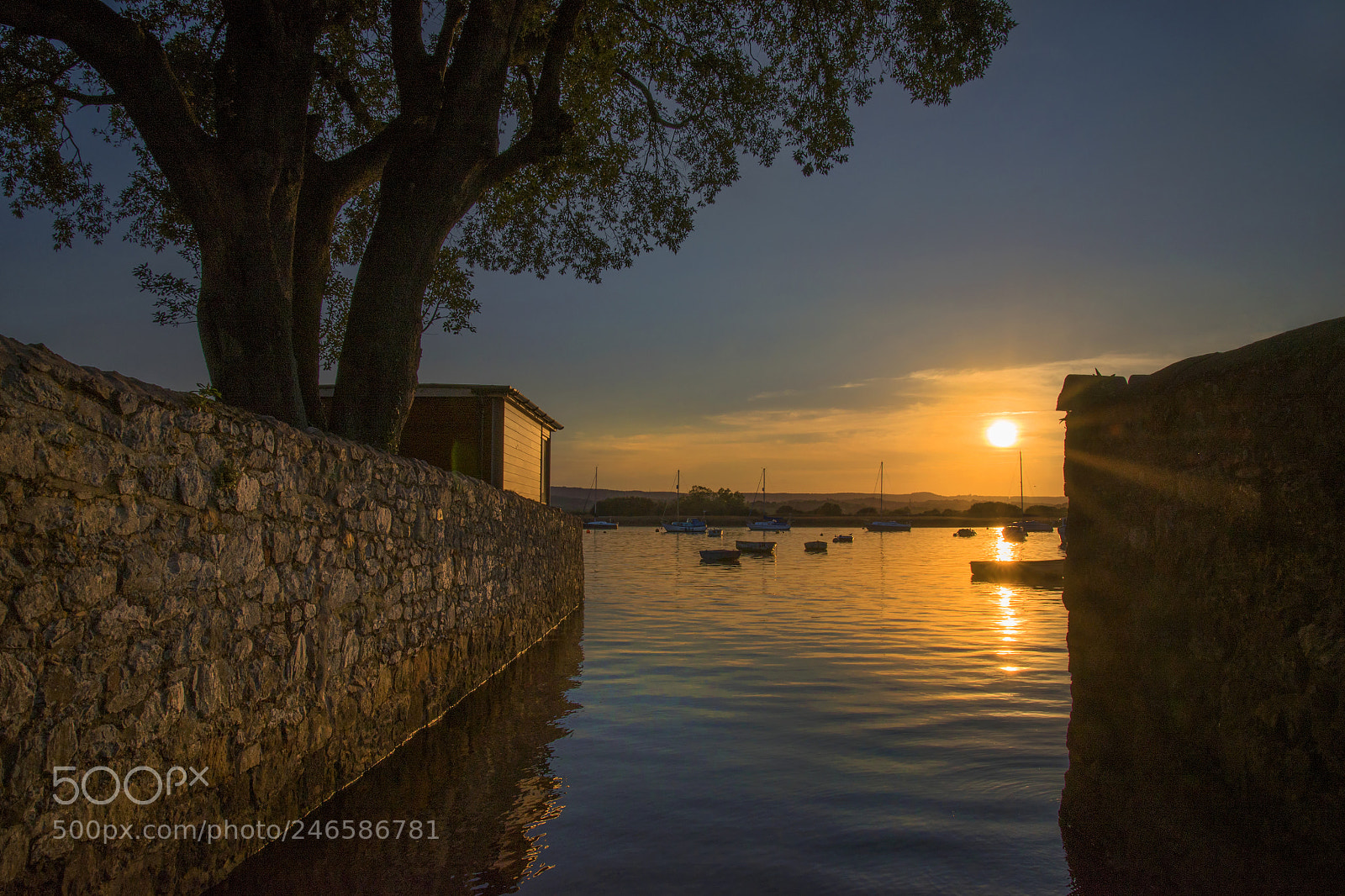 Nikon D610 sample photo. Topsham sunset photography