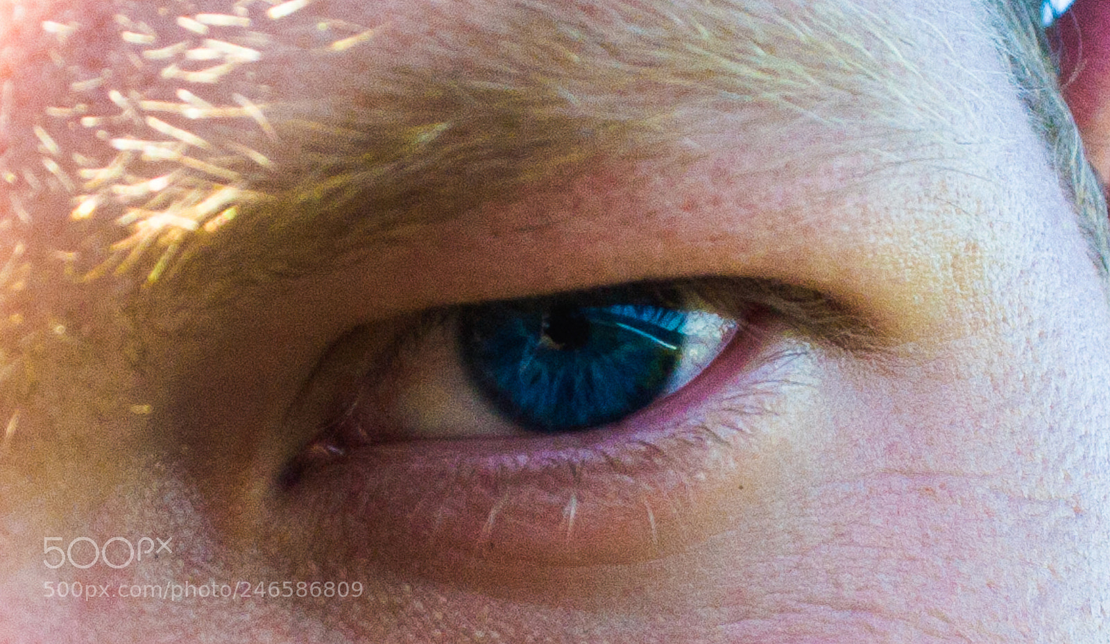 Nikon D3100 sample photo. Blue eyes photography