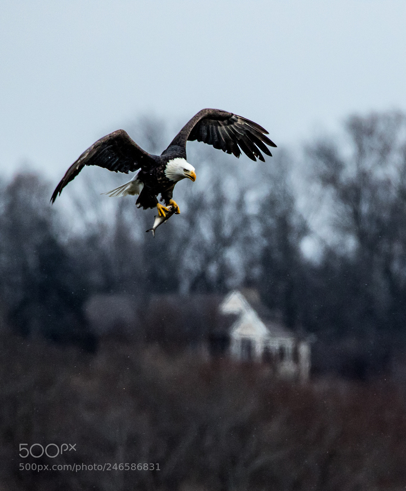 Canon EOS 7D Mark II sample photo. Lift photography