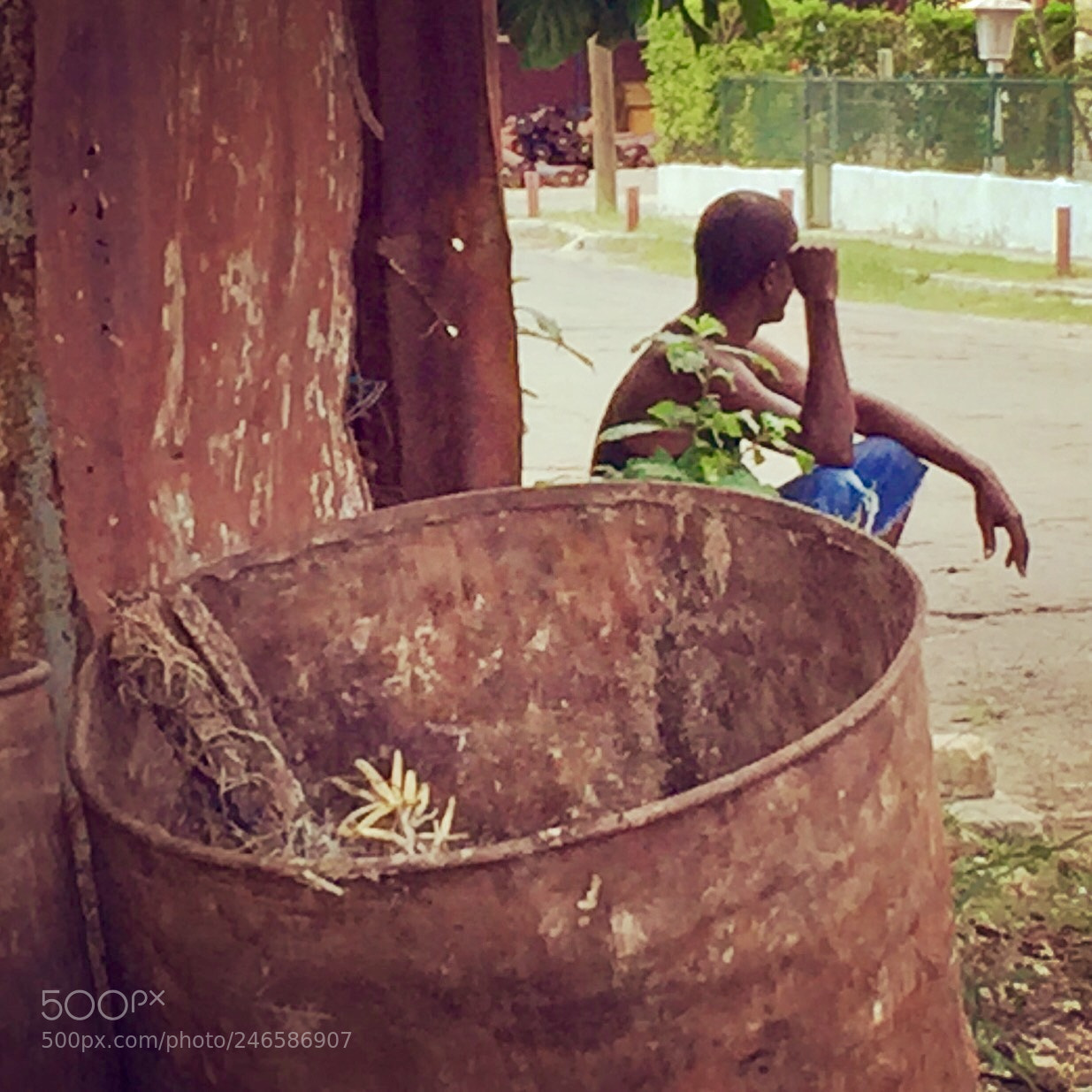 Apple iPhone 6 sample photo. Untitled photography