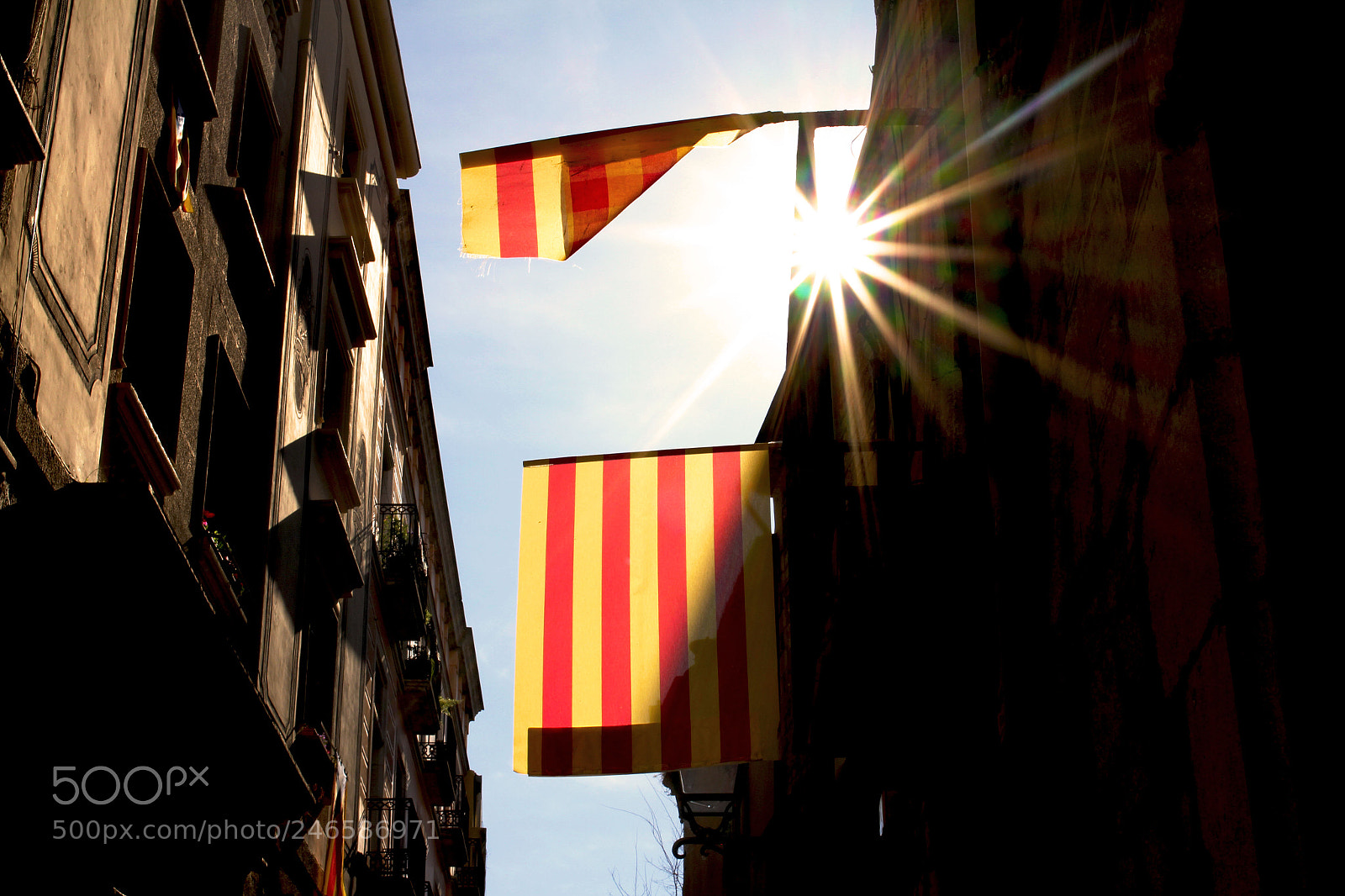 Canon EOS 7D sample photo. Flags photography