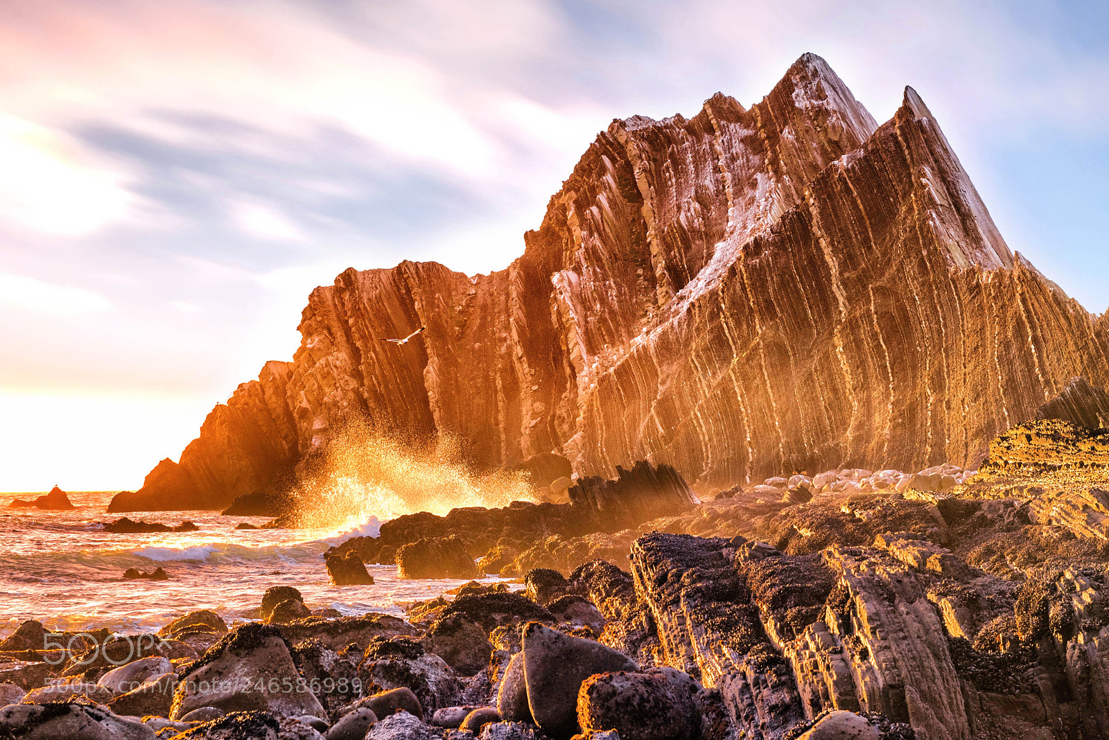 Nikon D810 sample photo. Coast life photography