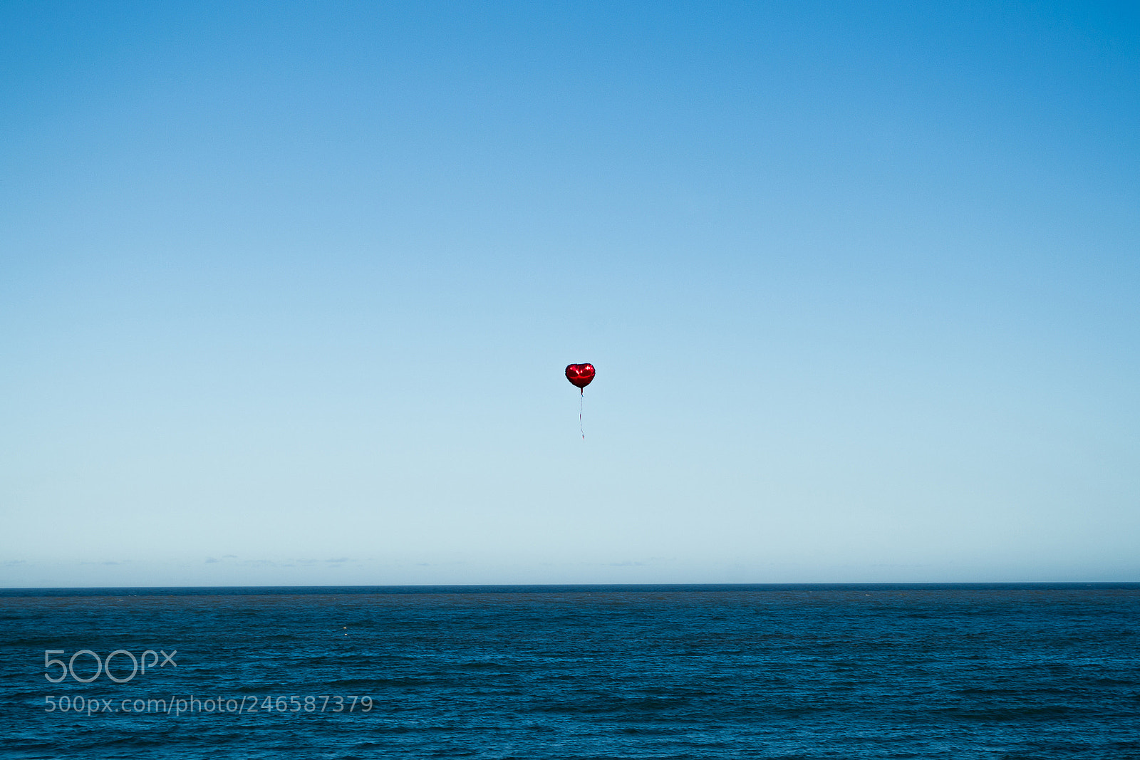 Nikon D3100 sample photo. A heart in a photography