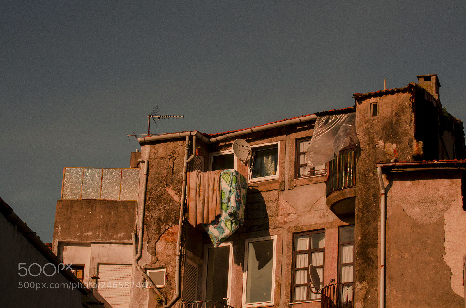 Nikon D5100 sample photo. Routine photography