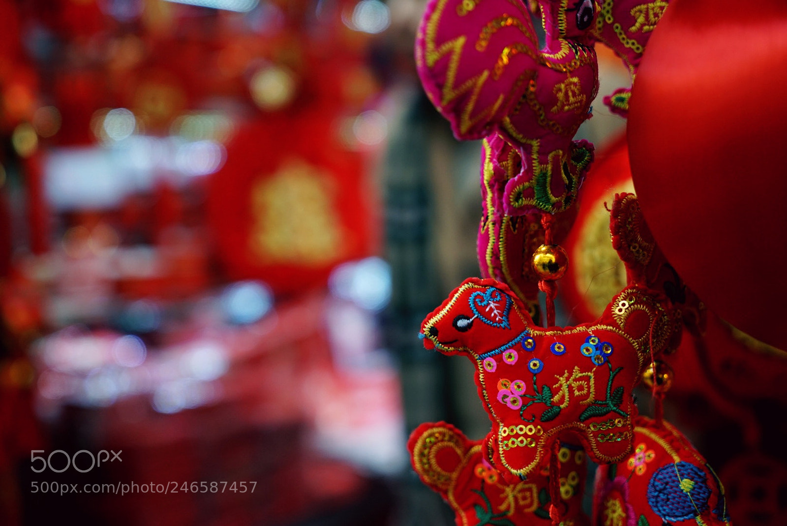 Sony a7 II sample photo. Year of dog photography