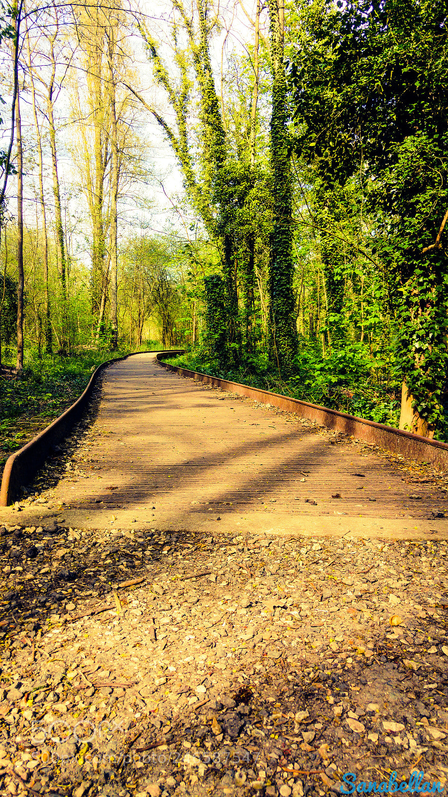 LG G4 sample photo. Chemin vers l'inconnu photography