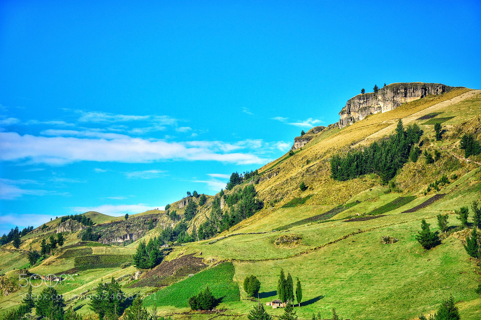 Nikon D7100 sample photo. Paramo de guaranda. photography
