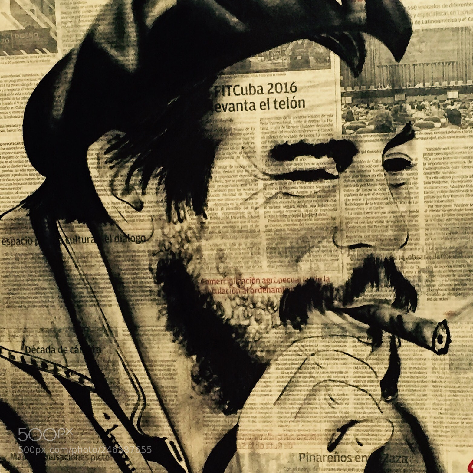 Apple iPhone 6 sample photo. Untitled photography