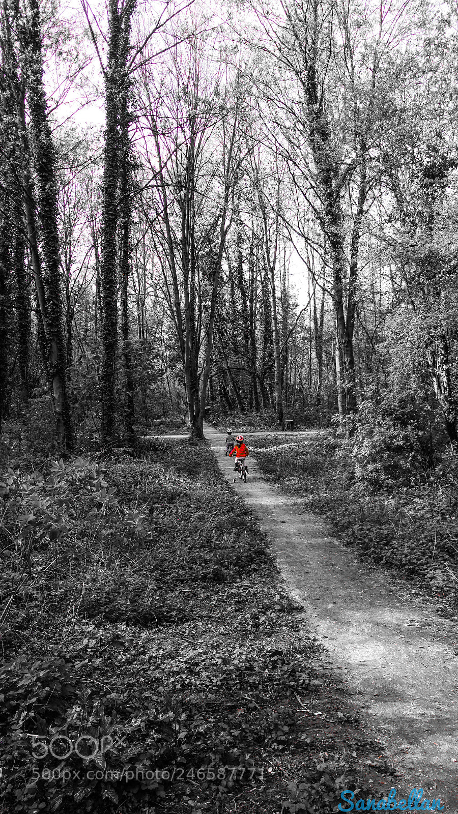 LG G4 sample photo. Promenons-nous photography