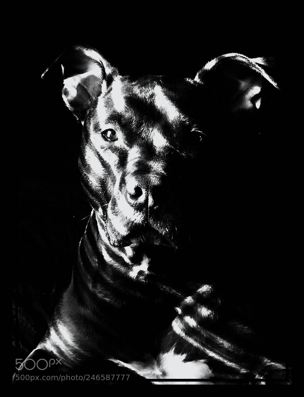 Apple iPhone 6 Plus sample photo. Libby photography