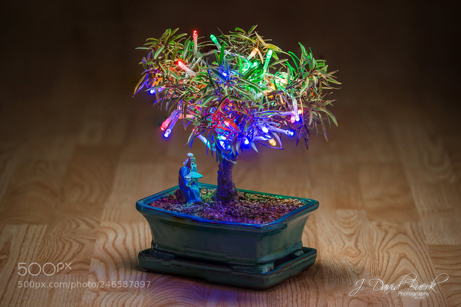 Canon EOS-1D X sample photo. Warmer in the winter photography