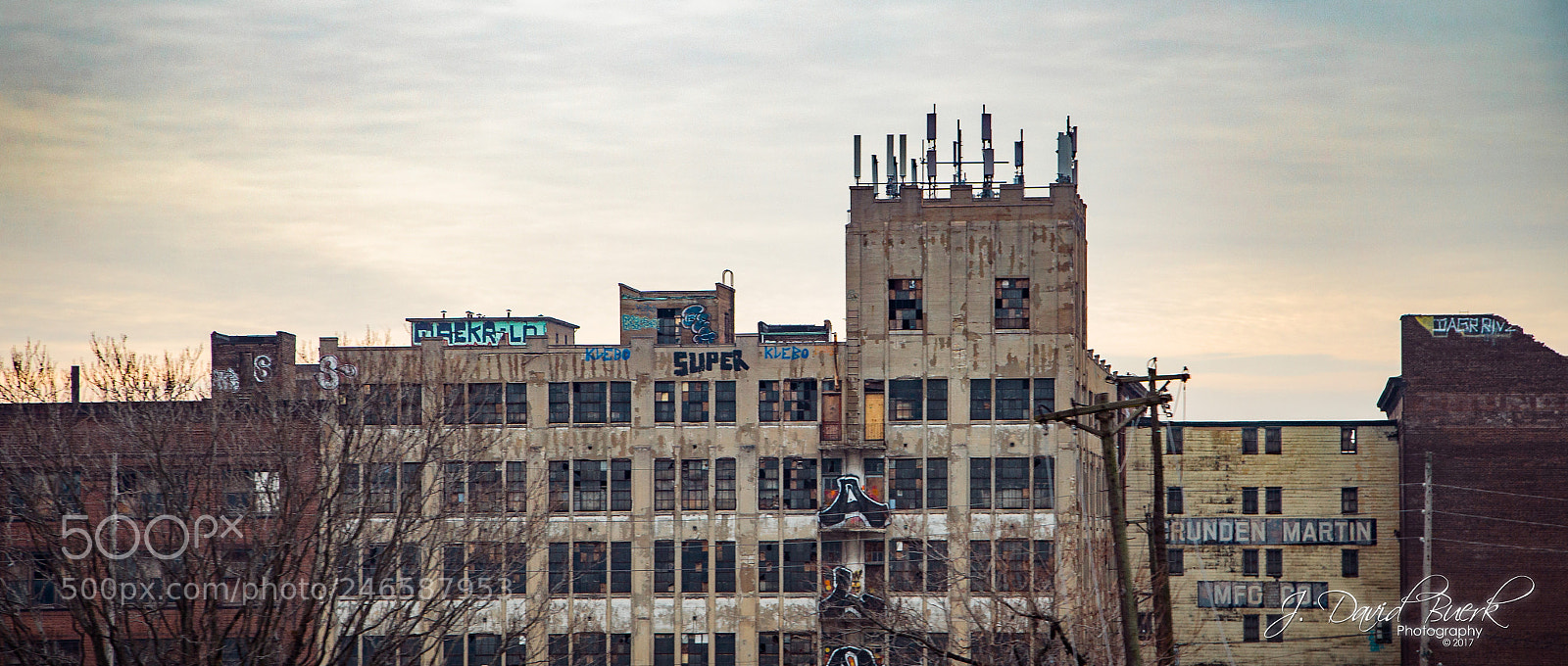 Canon EOS-1D X sample photo. Warmer in the winter photography
