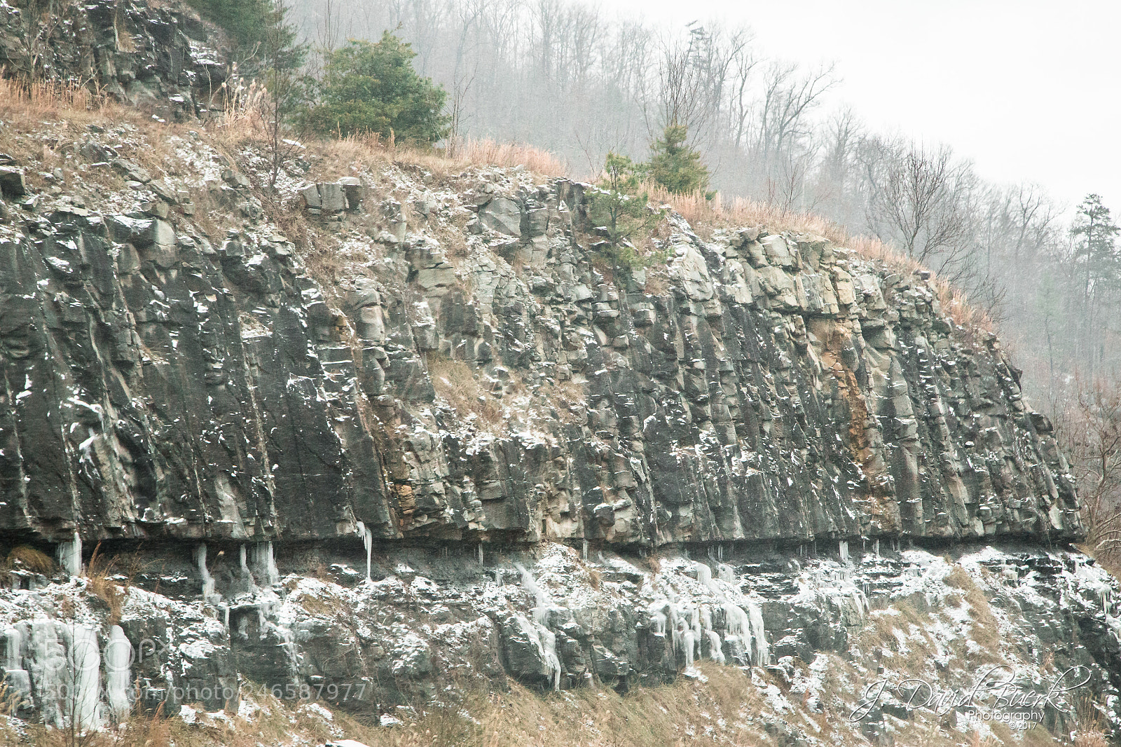 Canon EOS-1D X sample photo. Warmer in the winter photography