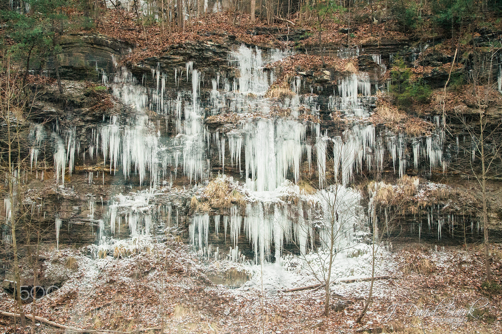 Canon EOS-1D X sample photo. Warmer in the winter photography