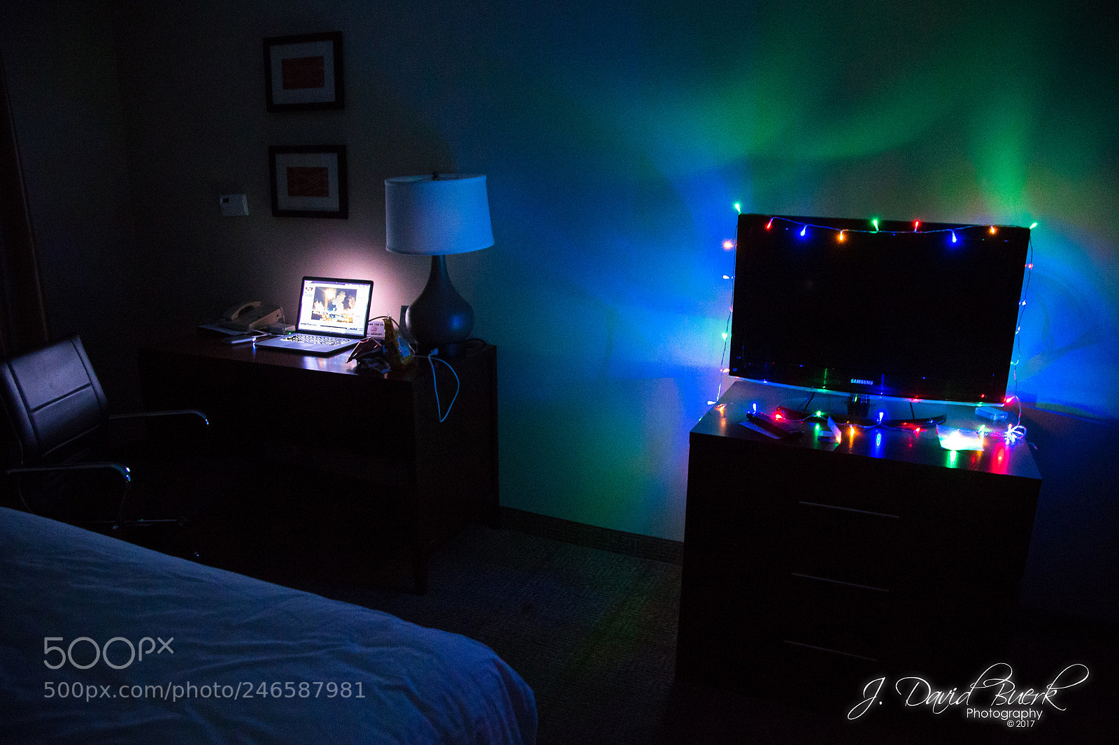 Canon EOS-1D X sample photo. Warmer in the winter photography
