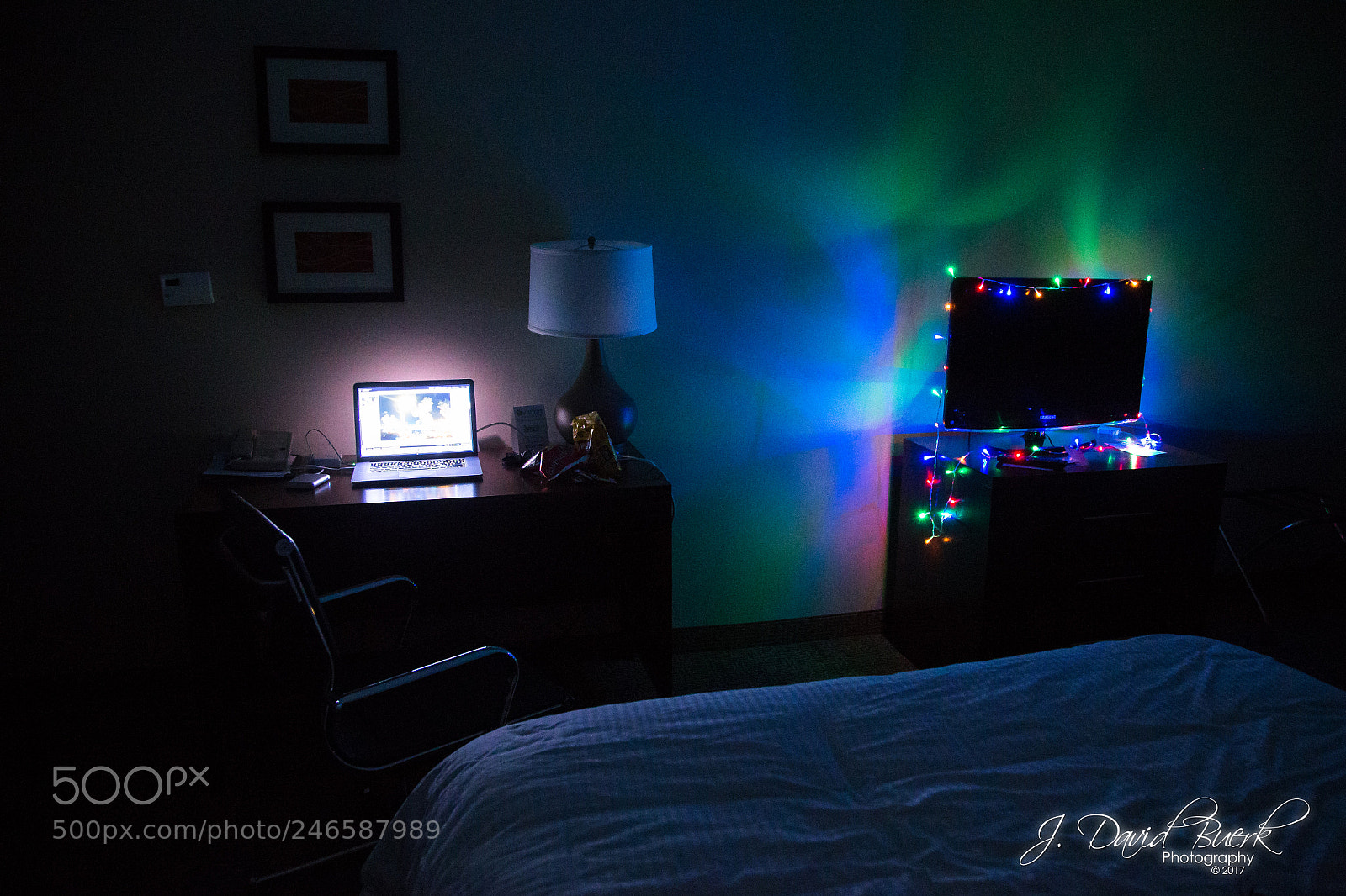 Canon EOS-1D X sample photo. Warmer in the winter photography