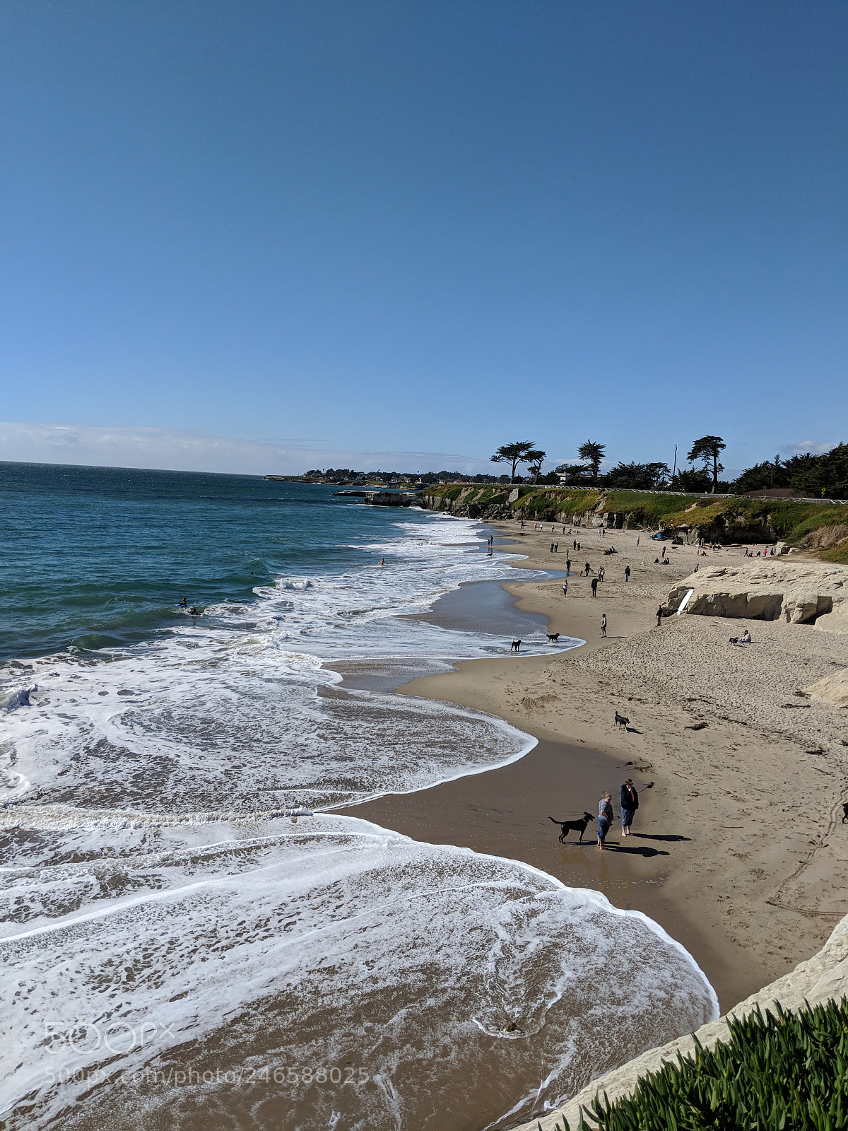 Google Pixel 2 sample photo. Untitled photography