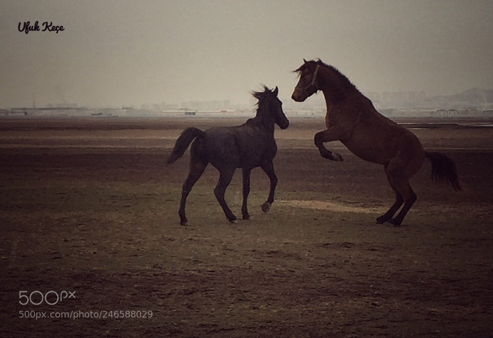Apple iPhone 6 sample photo. Kayseri, hac lar, h photography