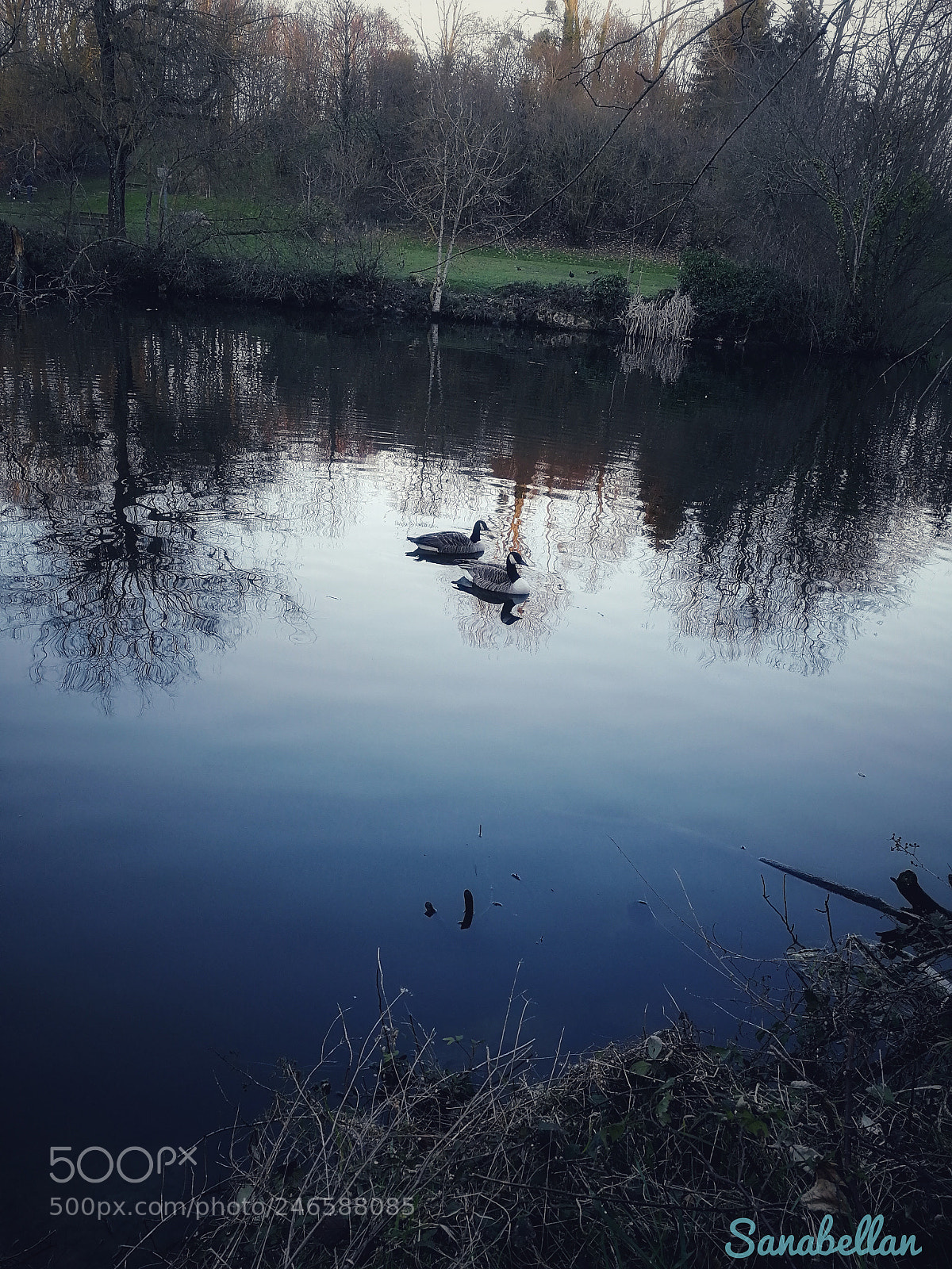HUAWEI Honor 9 sample photo. Couple sur l'eau photography