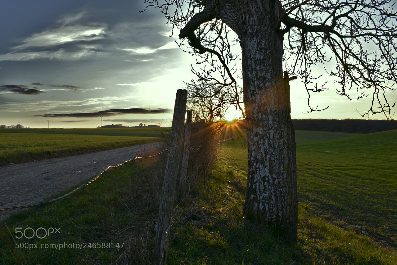 Nikon D5600 sample photo. Cela fait du bien photography