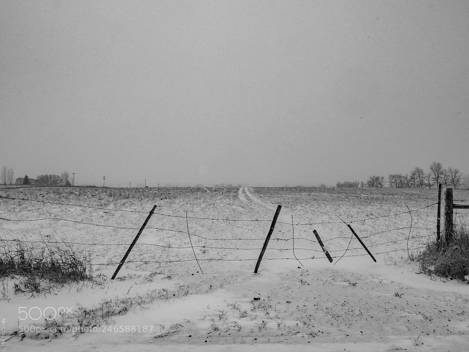 Olympus OM-D E-M1 Mark II sample photo. Keep gate closed photography
