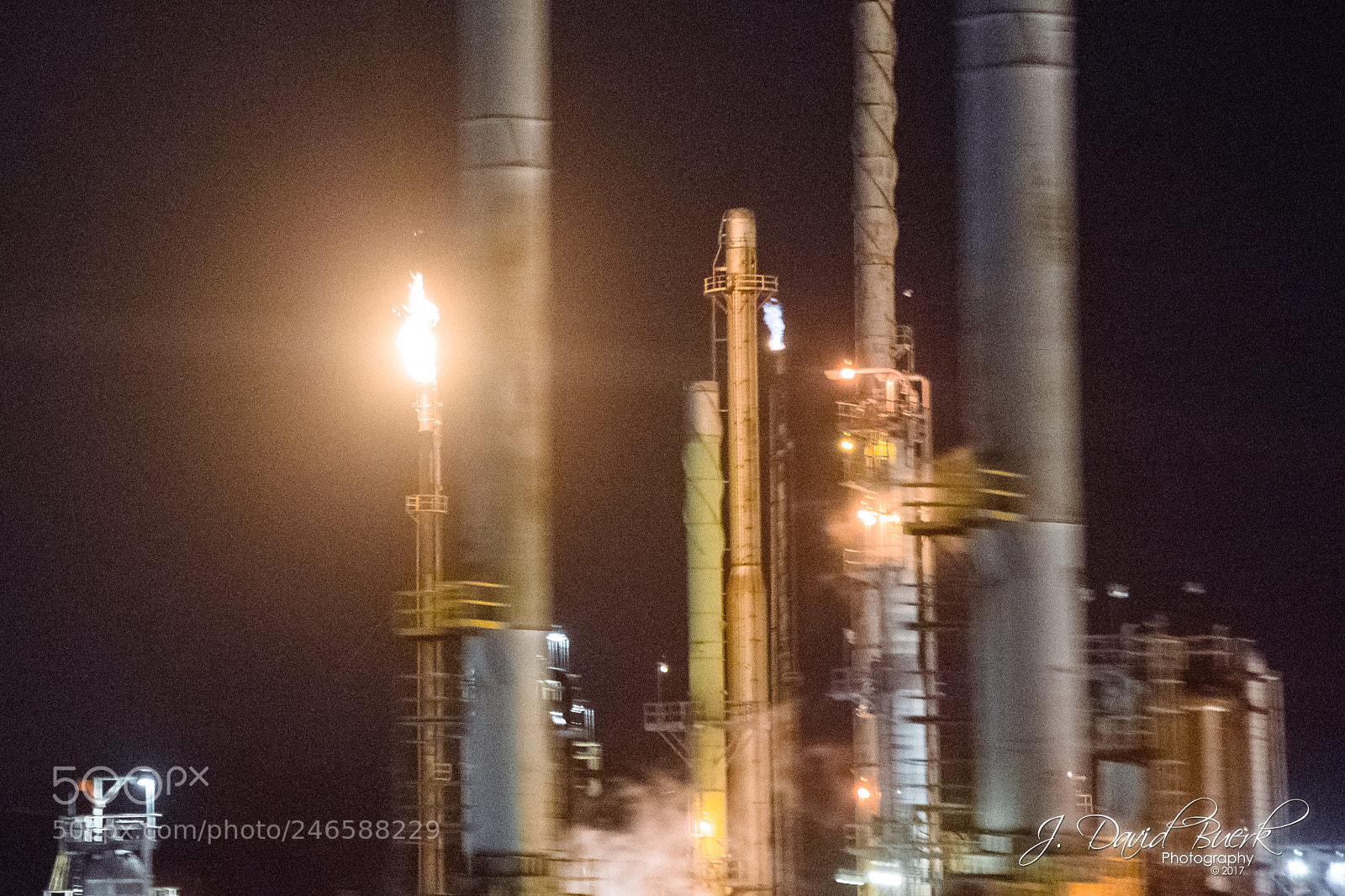 Canon EOS-1D X sample photo. Warmer in the winter photography