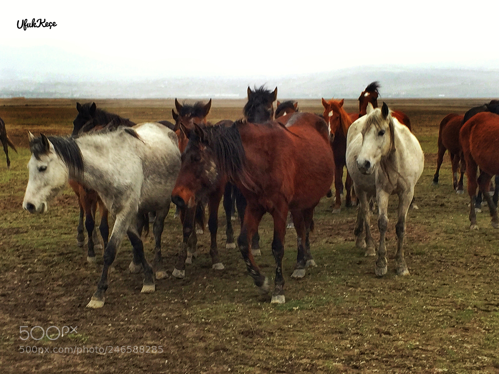 Apple iPhone 6 sample photo. Kayseri, hac lar, h photography