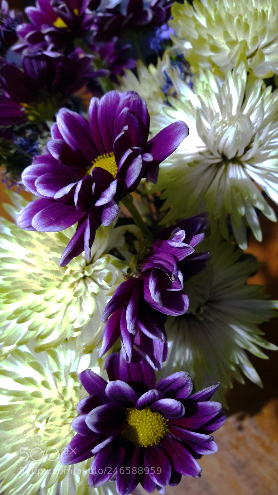 Samsung Galaxy A5(2016) sample photo. Purple nature photography