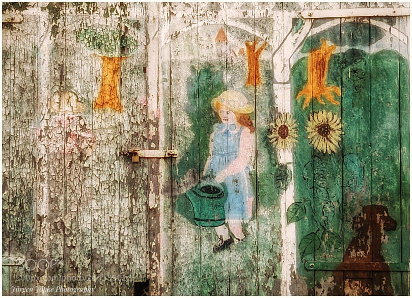 Sony a7 sample photo. "painting on barn door 1971" photography