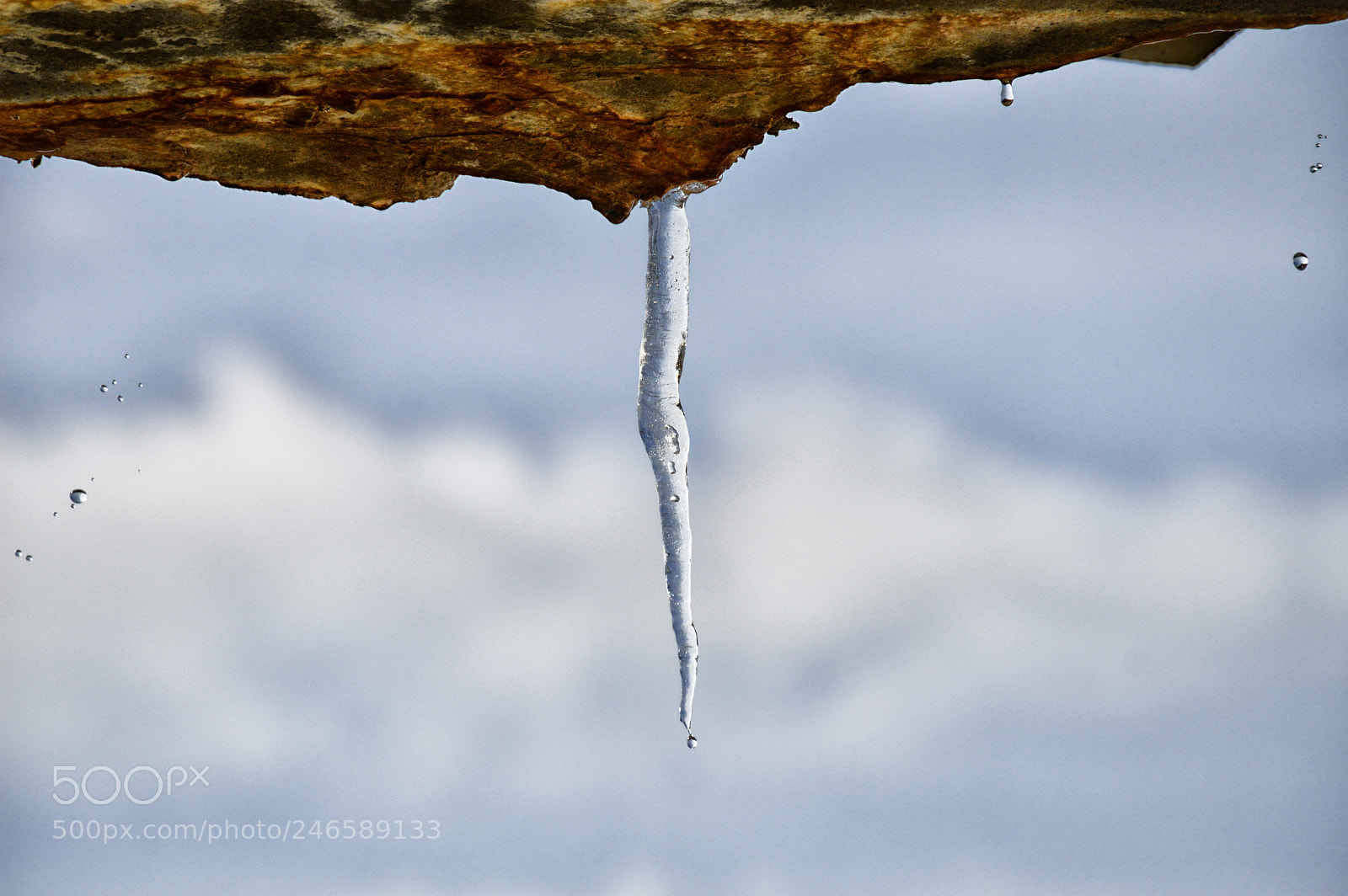 Nikon D3200 sample photo. Lone ice cycle photography