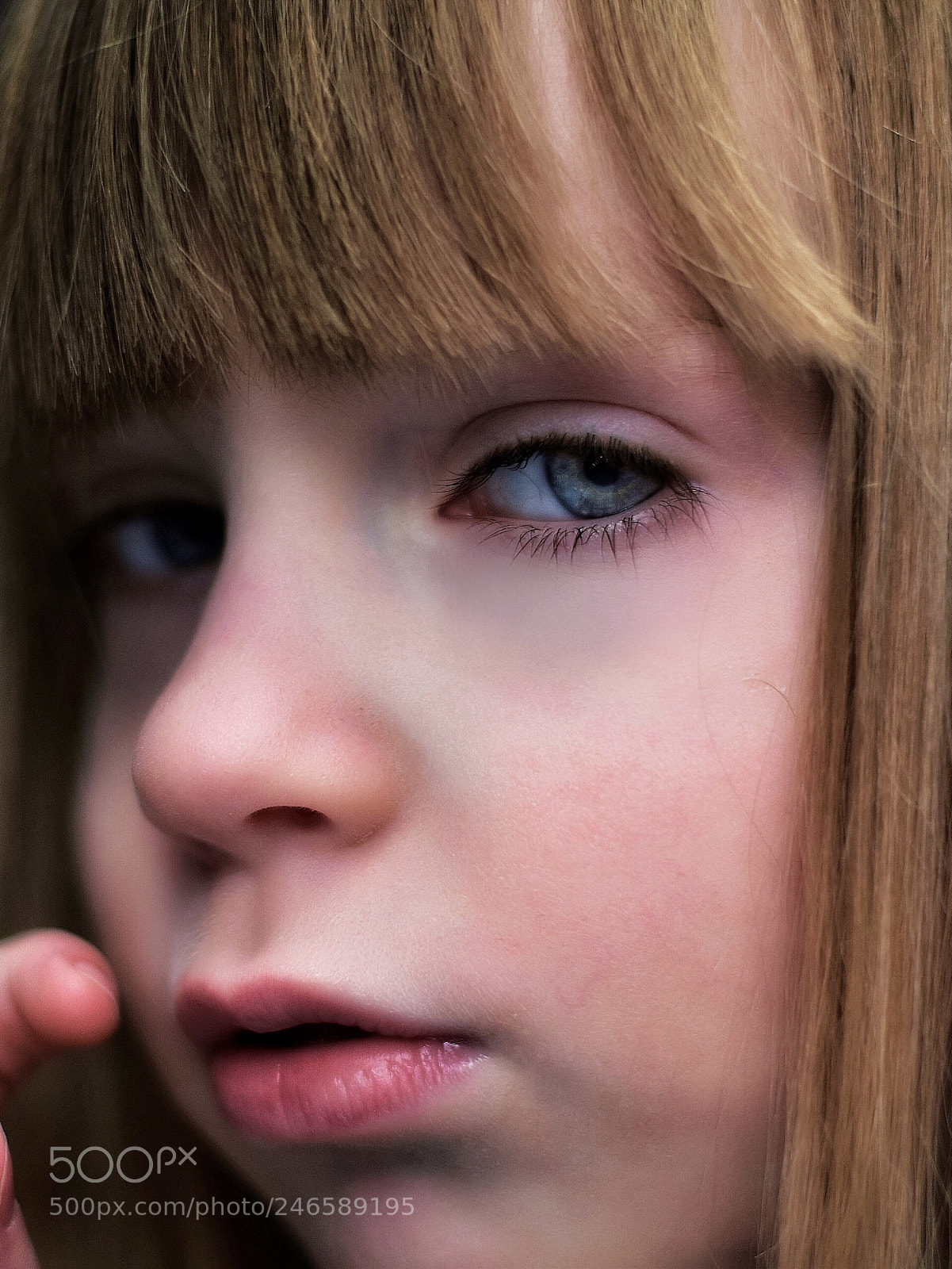 Nikon D5600 sample photo. Untitled photography